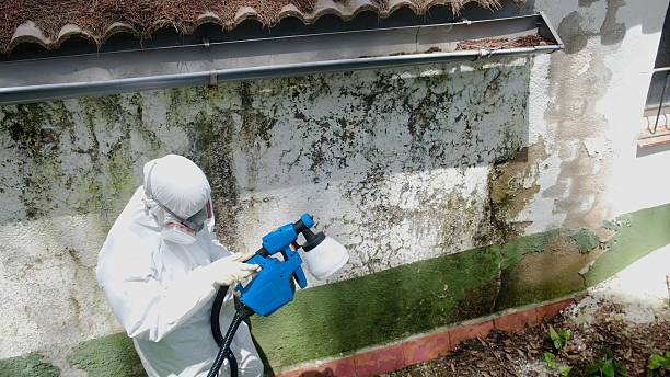 Top rated local Black Mold Remediation specialists in Thomasville, GA